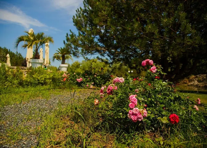New Egreta Resort